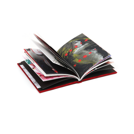 livre crazy kruk